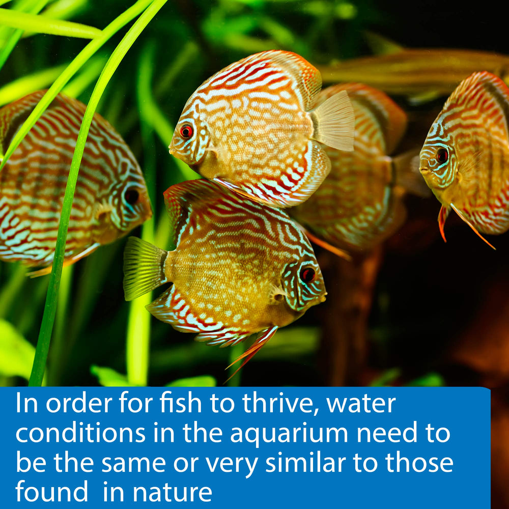 API saltwater aquarium setup highlighting versatile testing for reef tanks