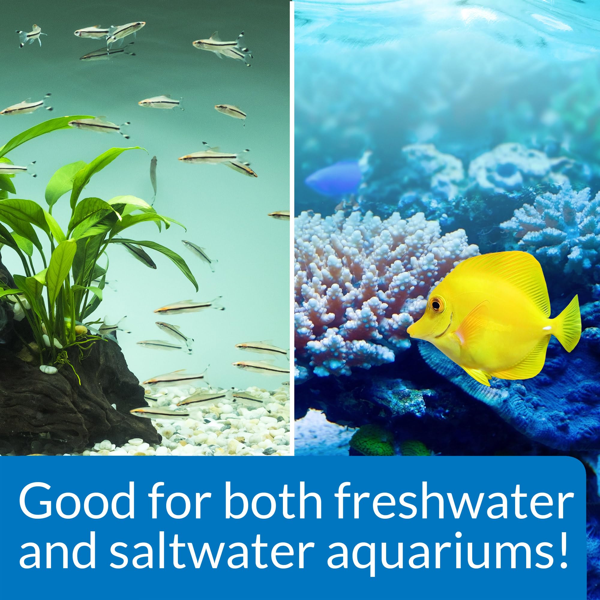 API Stress Zyme bottle being poured into aquarium for faster maintenance