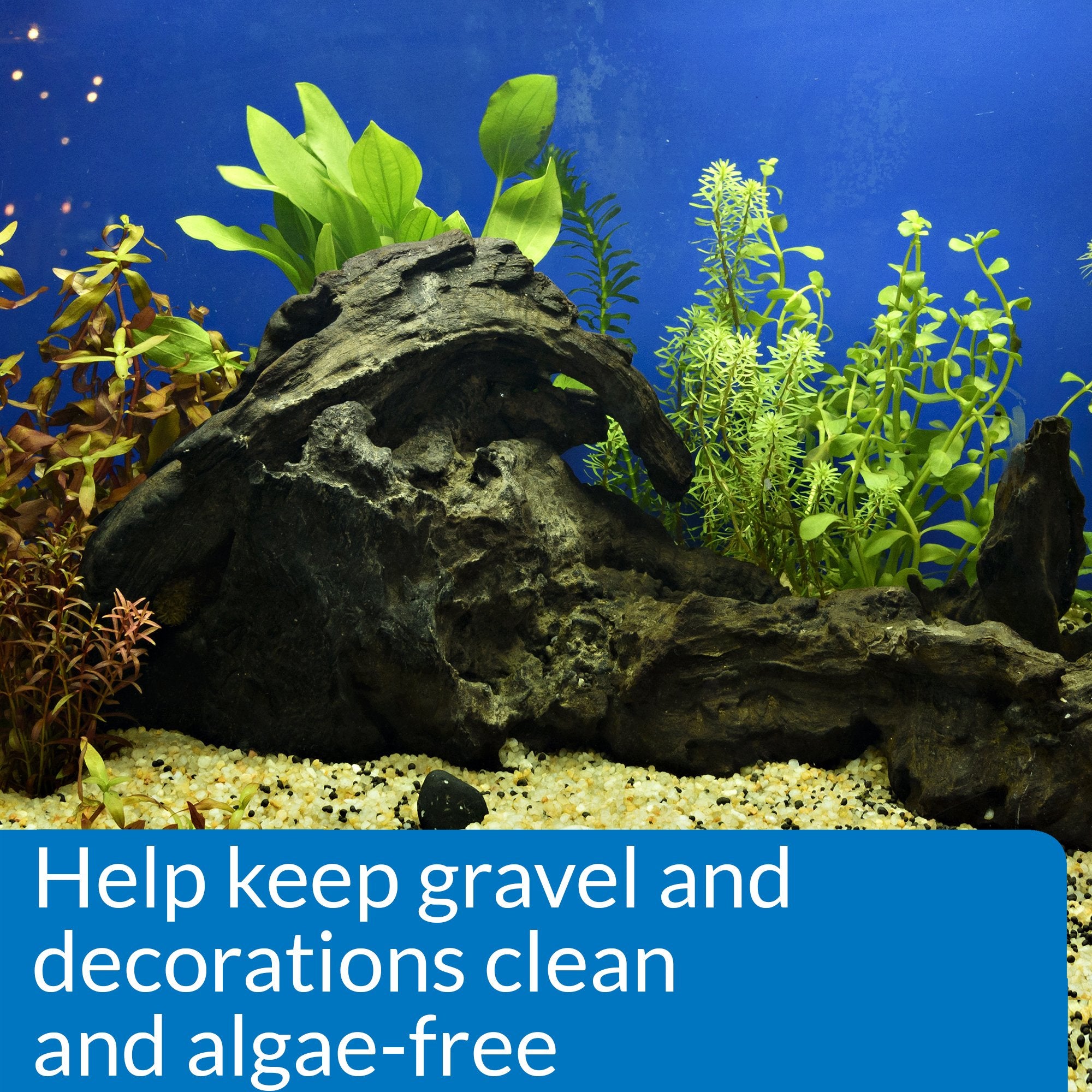 API Stress Zyme gravel-clean close-up shows clear substrate and improved tank aesthetics.