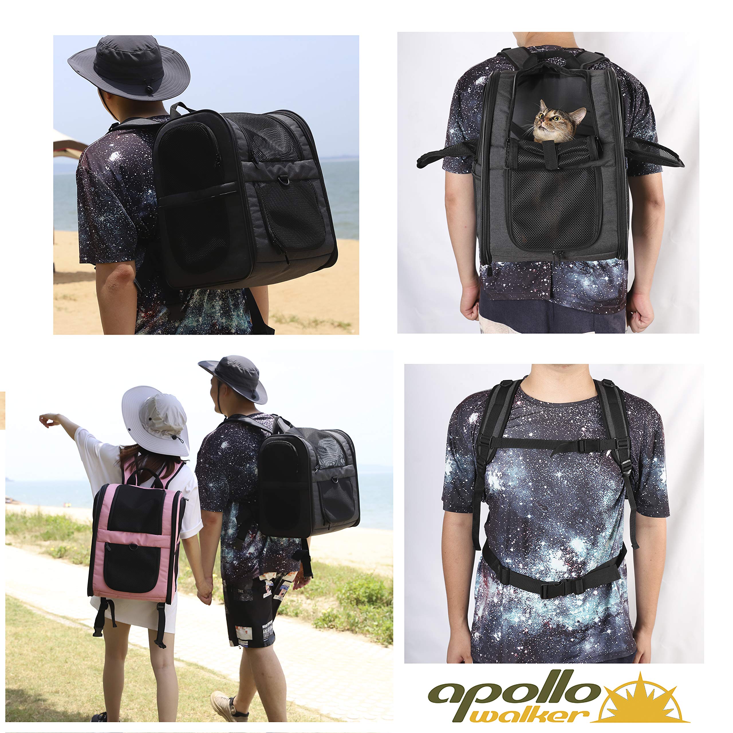Apollo Walker carrier backpack spacious 16.8-inch height fits small pets comfortably on hikes