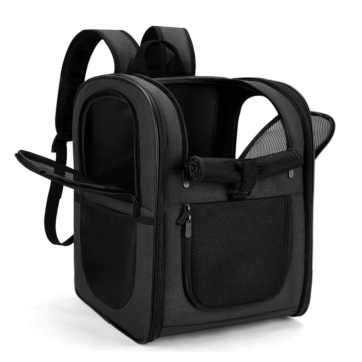 Apollo Walker carrier backpack front view shows roomy interior for small pets, comfortable travel