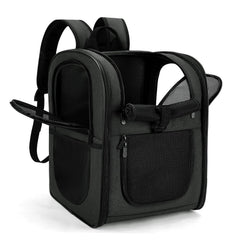 Apollo Walker carrier backpack front view shows roomy interior for small pets, comfortable travel