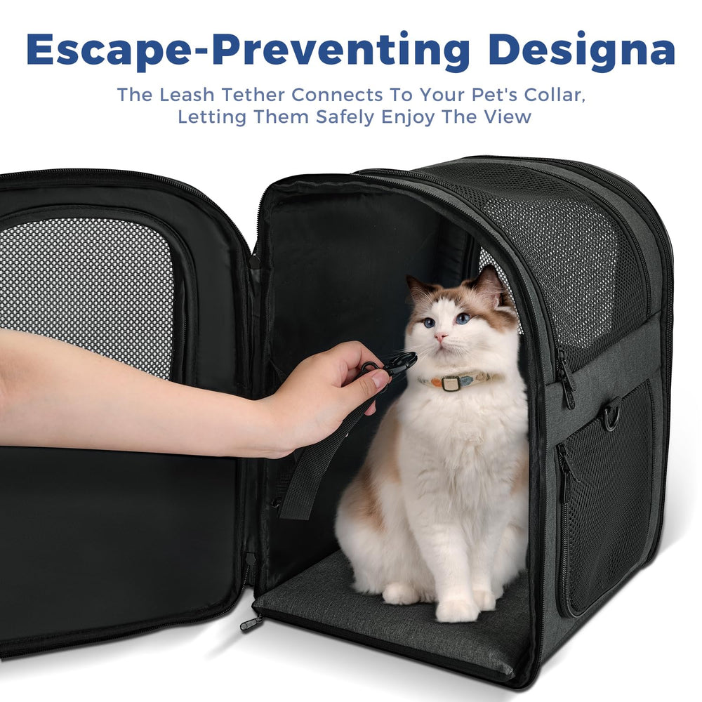 Apollo Walker carrier interior with leash clip and secure zippers for anxious pets