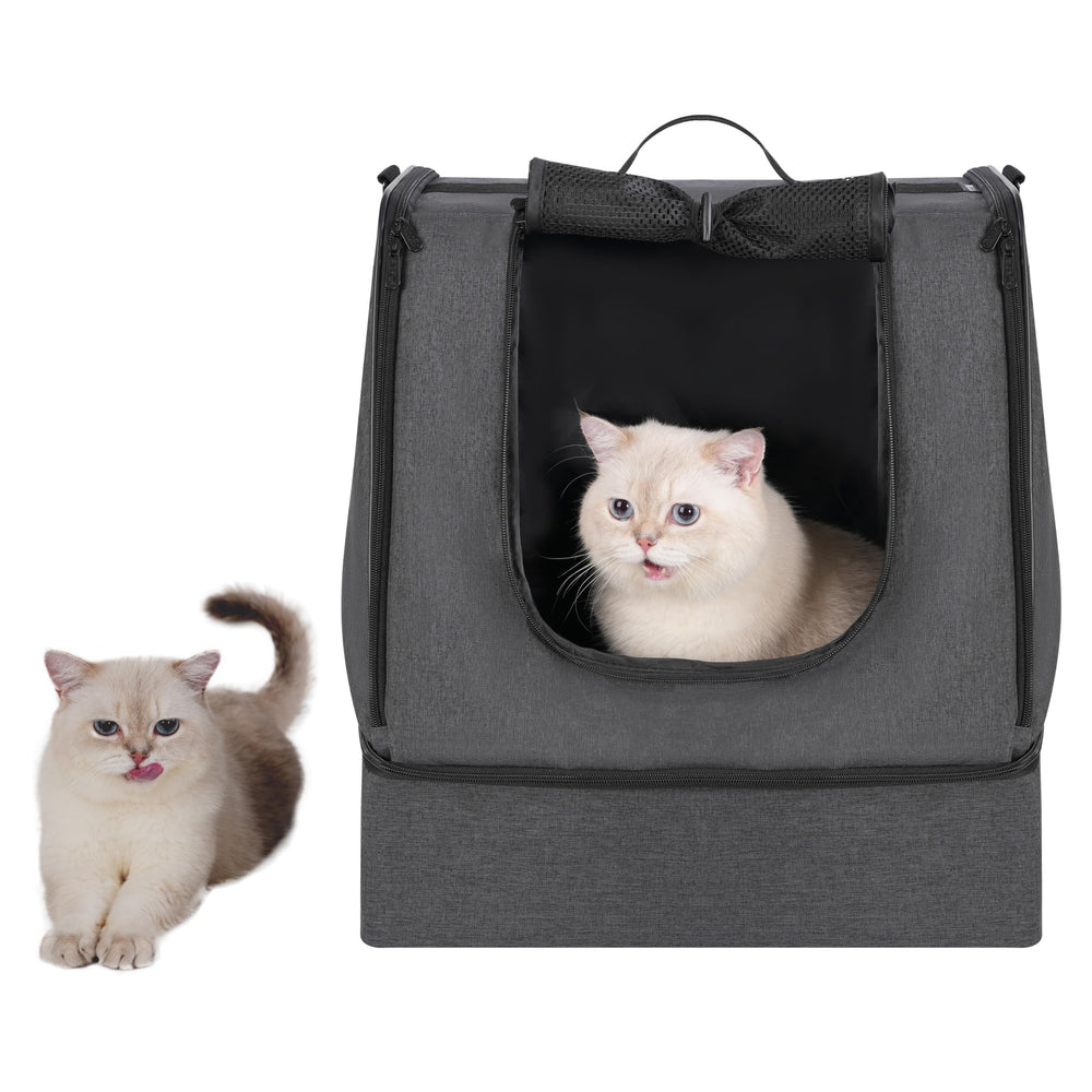 Apollo Walker includes scoop and collapsible bowl for on-the-go cats
