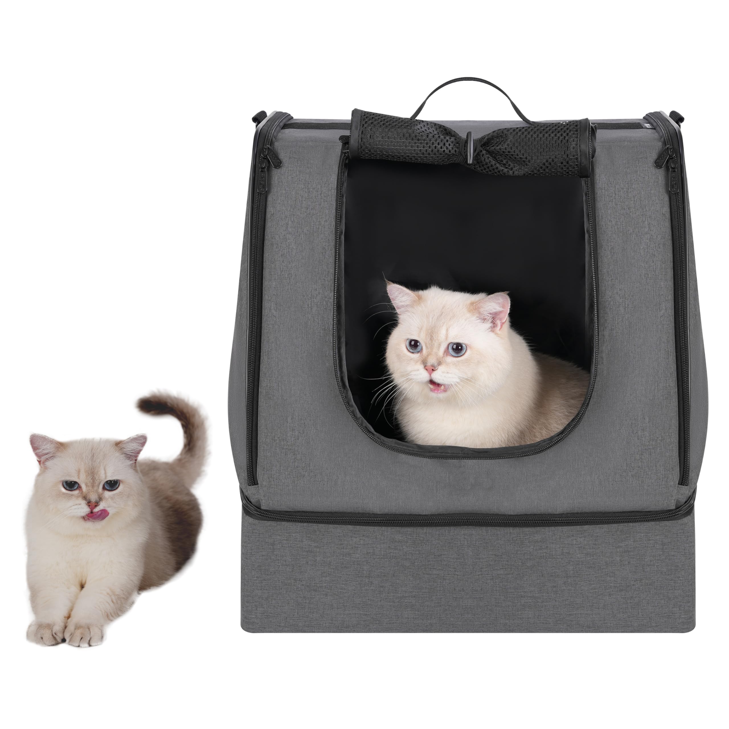 Apollo Walker lightweight foldable design packs compactly for road trips