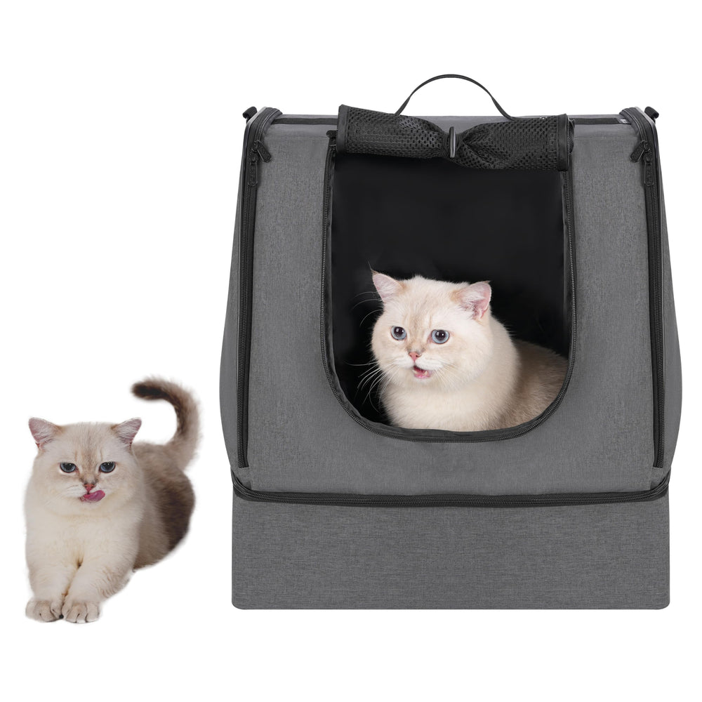 Apollo Walker lightweight foldable design packs compactly for road trips