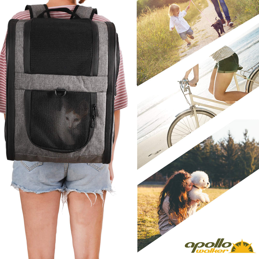 Apollo Walker Pet Carrier Backpack gray in use during a hiking excursion.