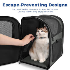 Apollo Walker Pet Carrier Backpack gray showing secure closure for escape-prone pets.