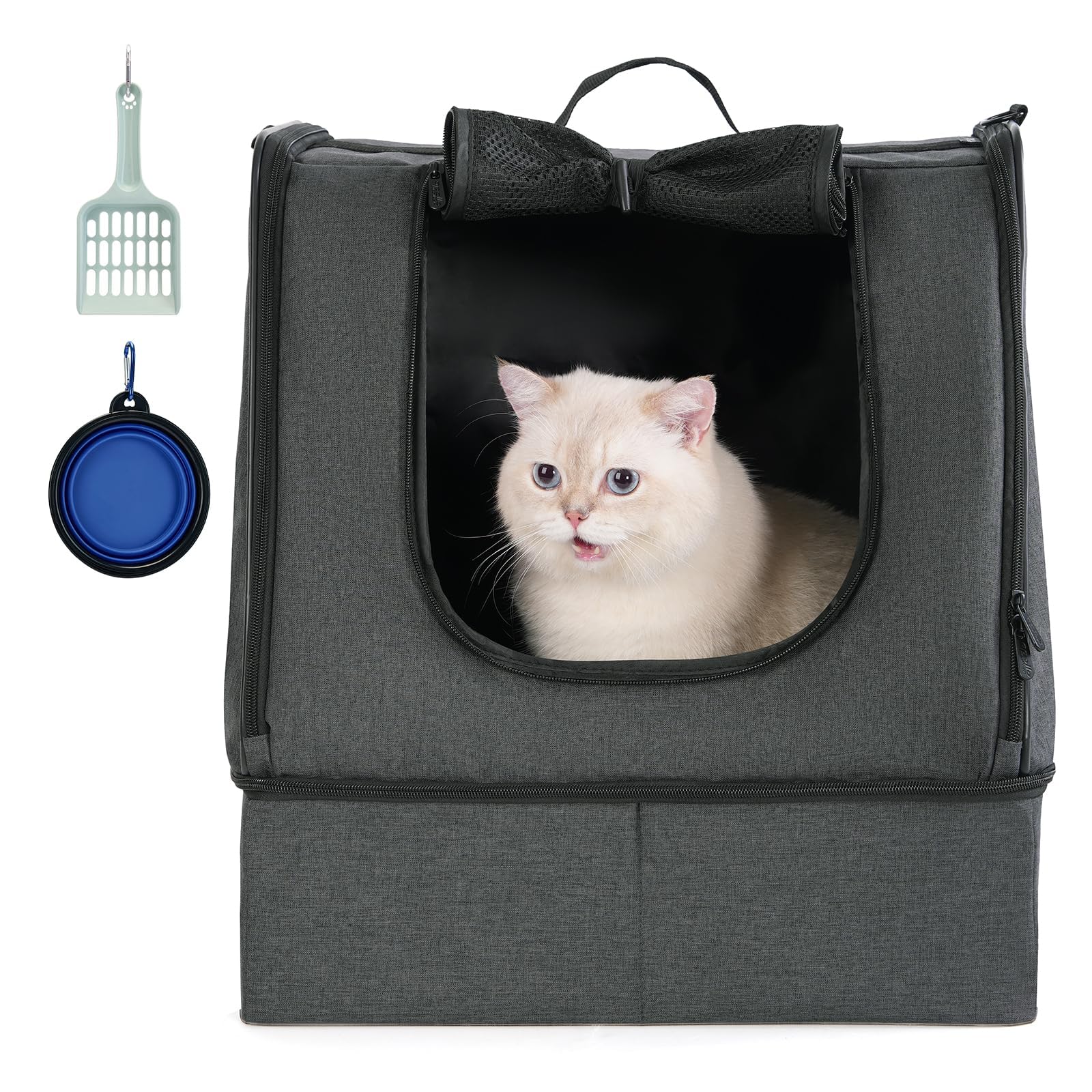 Apollo Walker portable cat travel litter box open layout for hotel stays