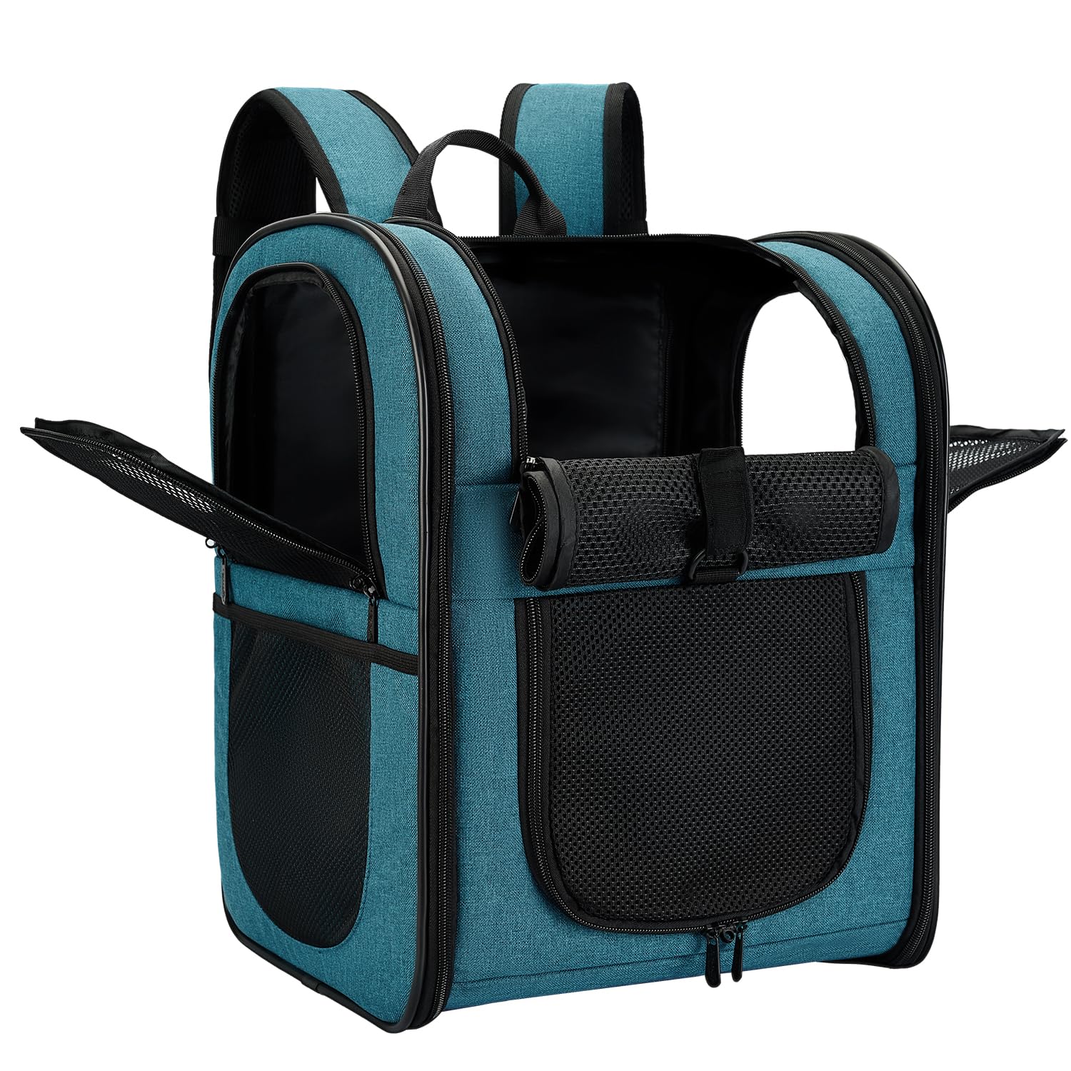 Apollo Walker teal carrier backpack on trail keeping pet secure and hands-free.