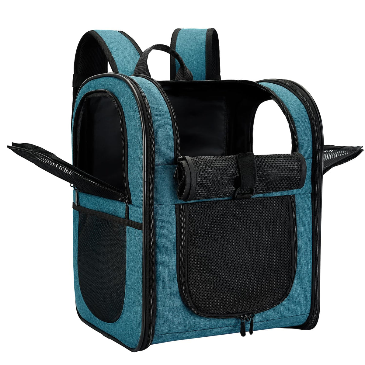Apollo Walker teal carrier backpack on trail keeping pet secure and hands-free.