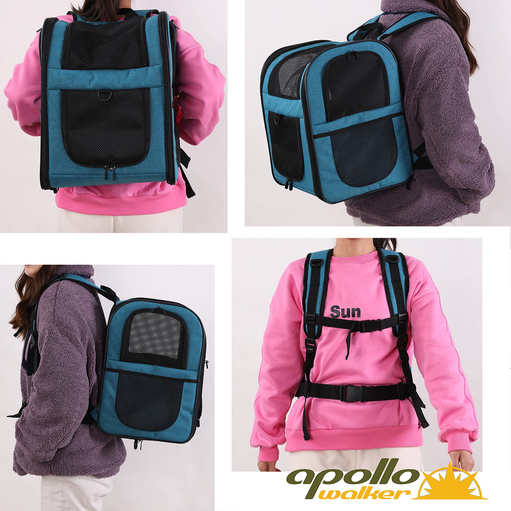 Open, ventilated Apollo Walker teal carrier ready for a small pet.
