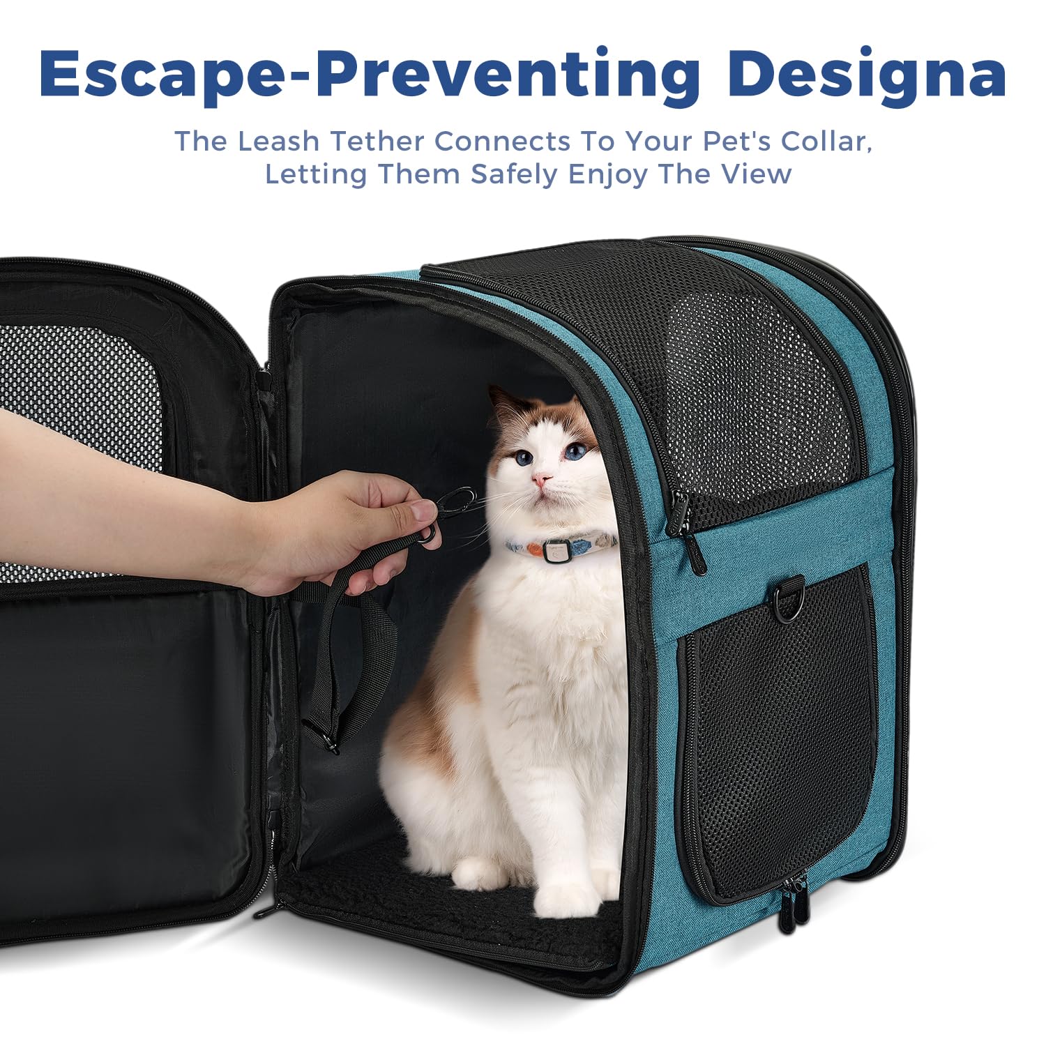 Apollo Walker teal inside view showing leash clip for pet safety.