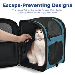 Apollo Walker teal inside view showing leash clip for pet safety.