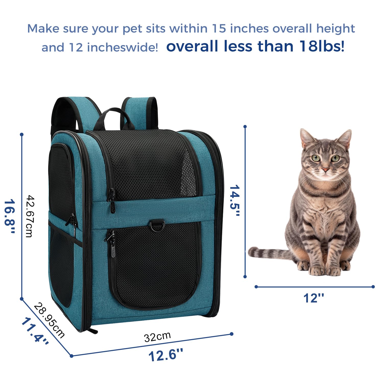 Apollo Walker teal carrier with expandable side pockets for bowls and treats.