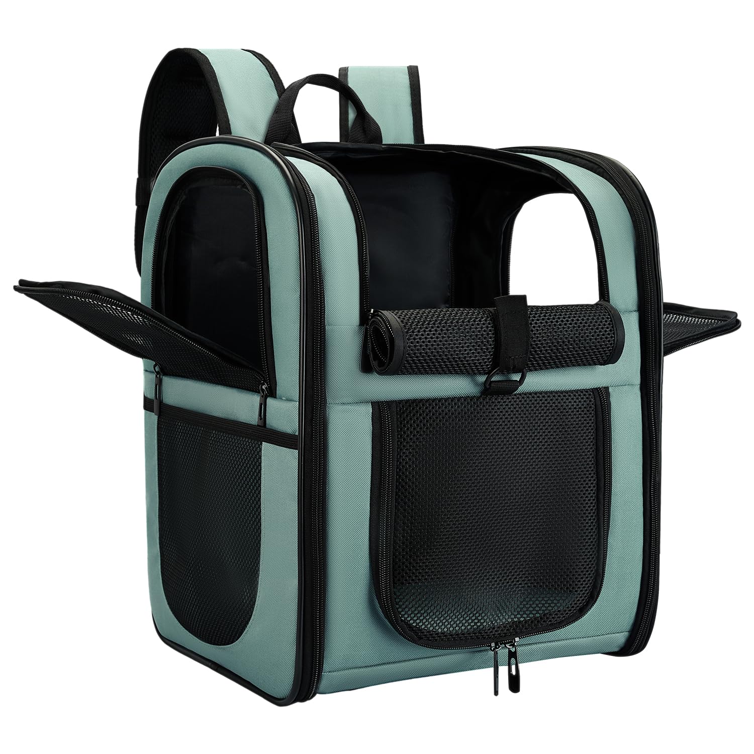 Apollo Walker ventilated carrier backpack keeps small pets comfortable during hiking and travel