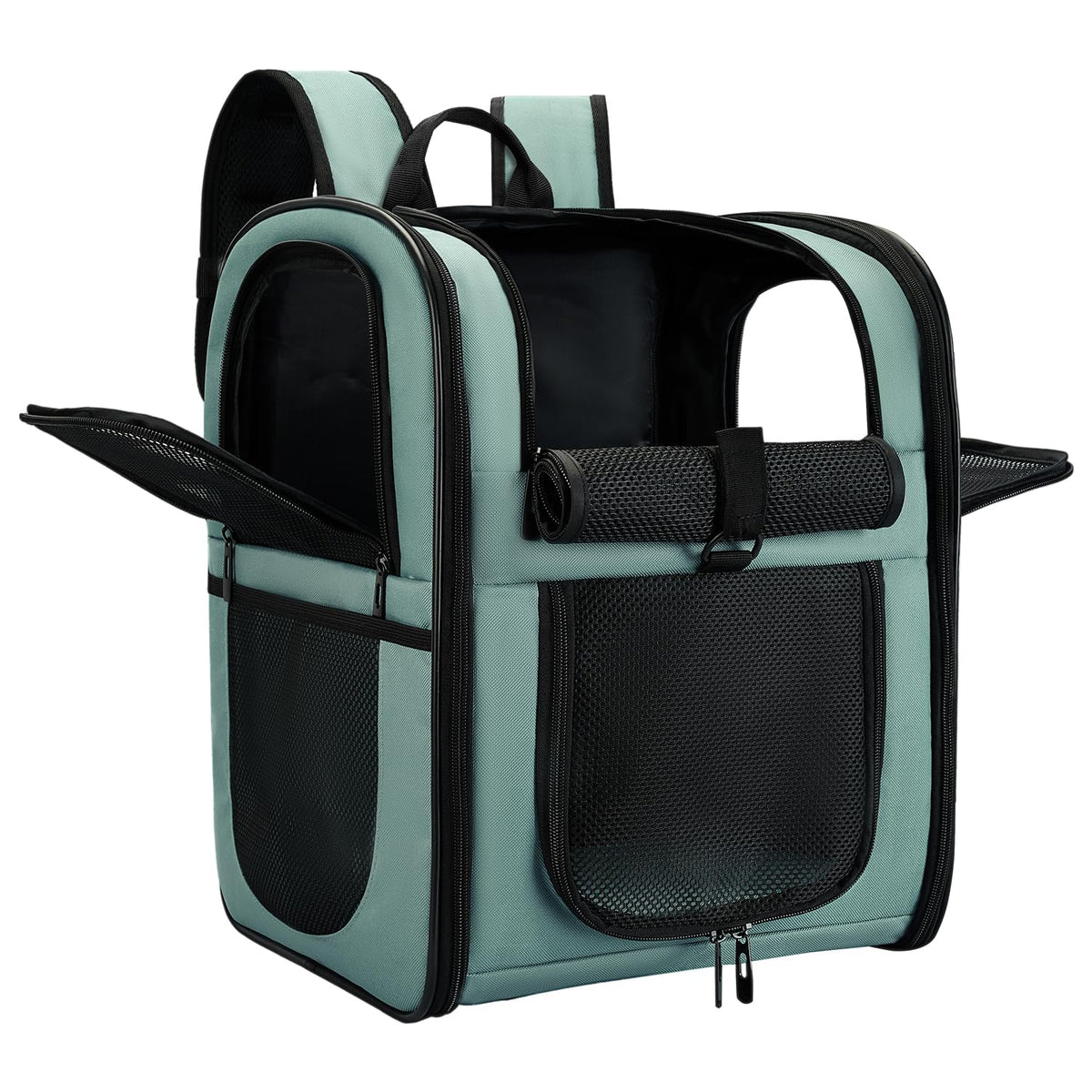 Apollo Walker ventilated carrier backpack keeps small pets comfortable during hiking and travel