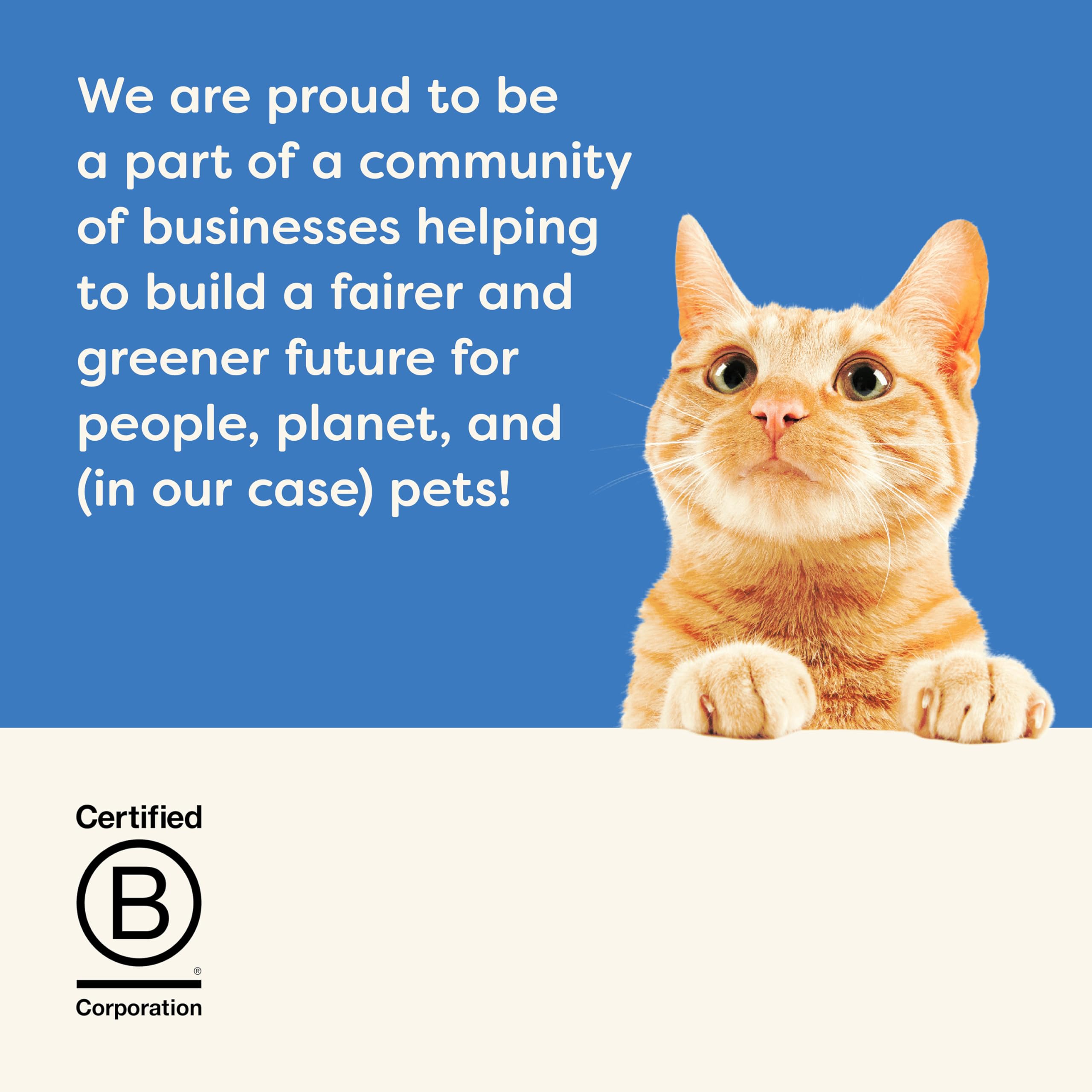 Applaws B Corp commitment emphasizing planet-friendly pet nutrition.