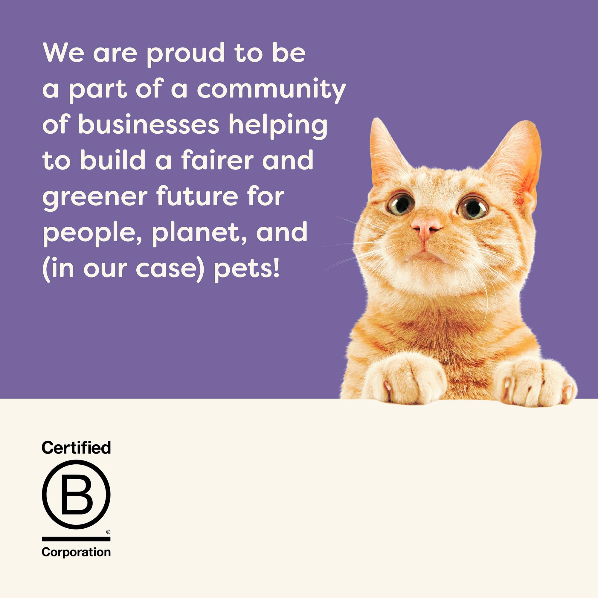Applaws chicken and tuna loin close-up highlighting high-protein snacks.