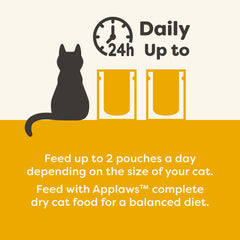 Applaws chicken and pumpkin in broth serves as a tasty complement to dry kibble.