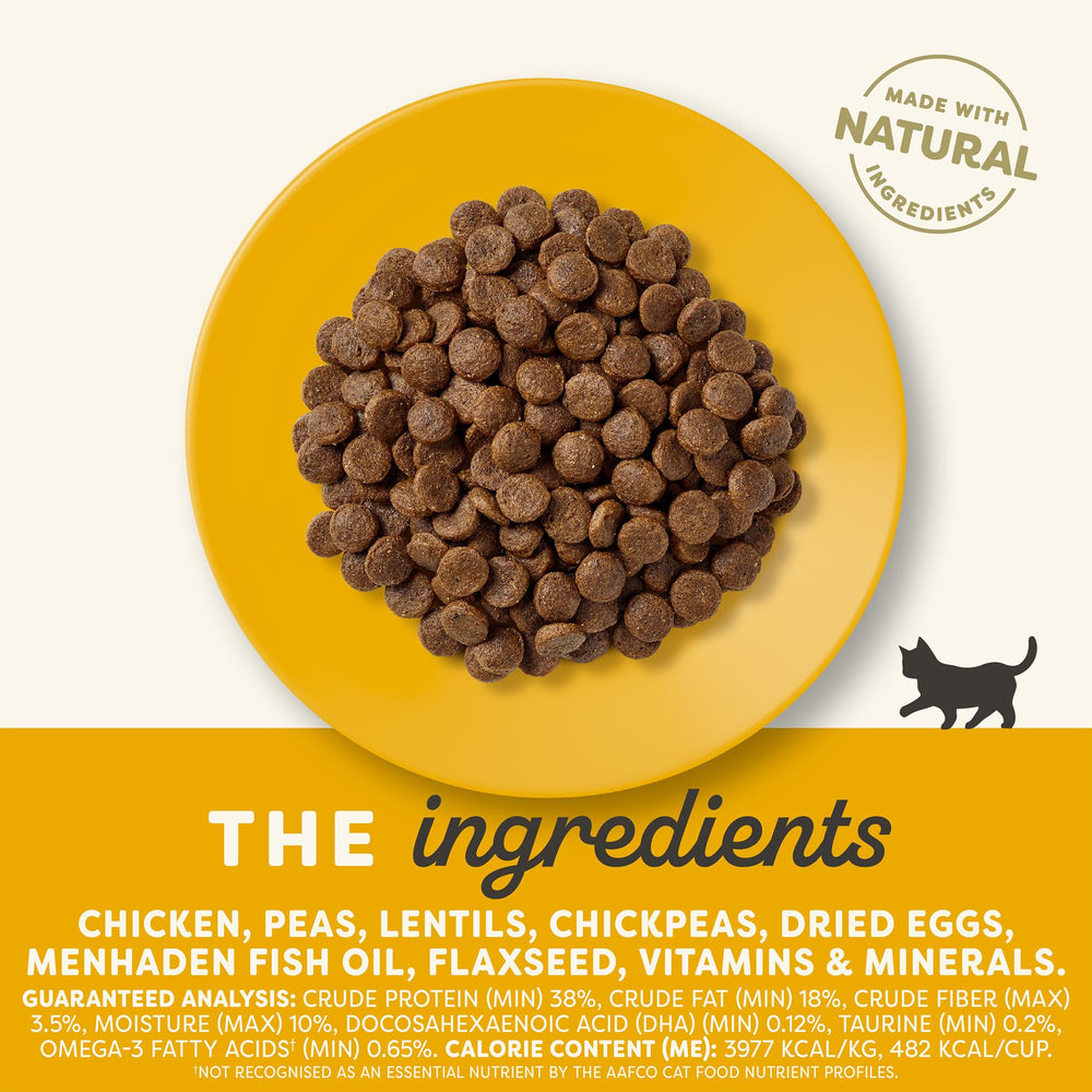 Applaws dry kitten kibble closeup highlights high-protein bites for active days.