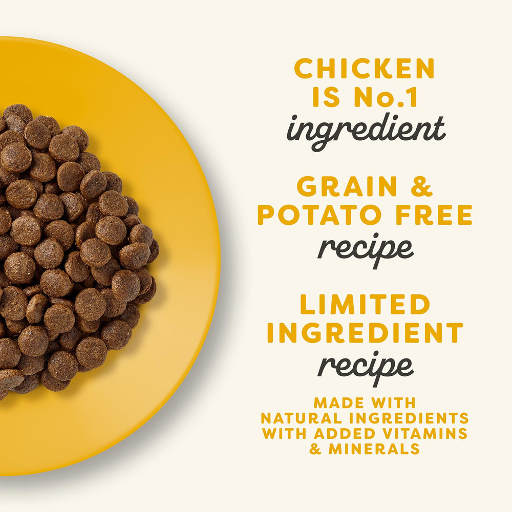 Applaws Complete Dry Kitten Food serve in bowl emphasizes appetizing texture.