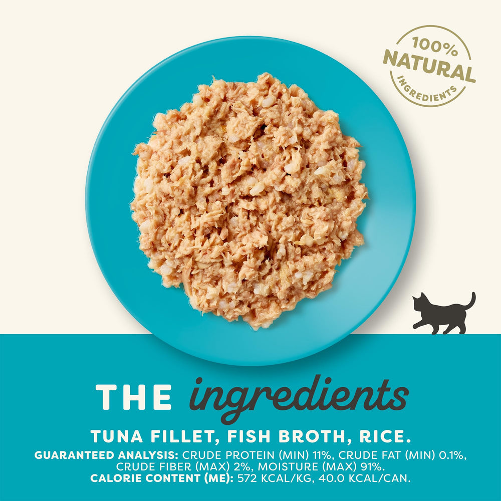 Kitten eating from a bowl of Applaws wet food in broth