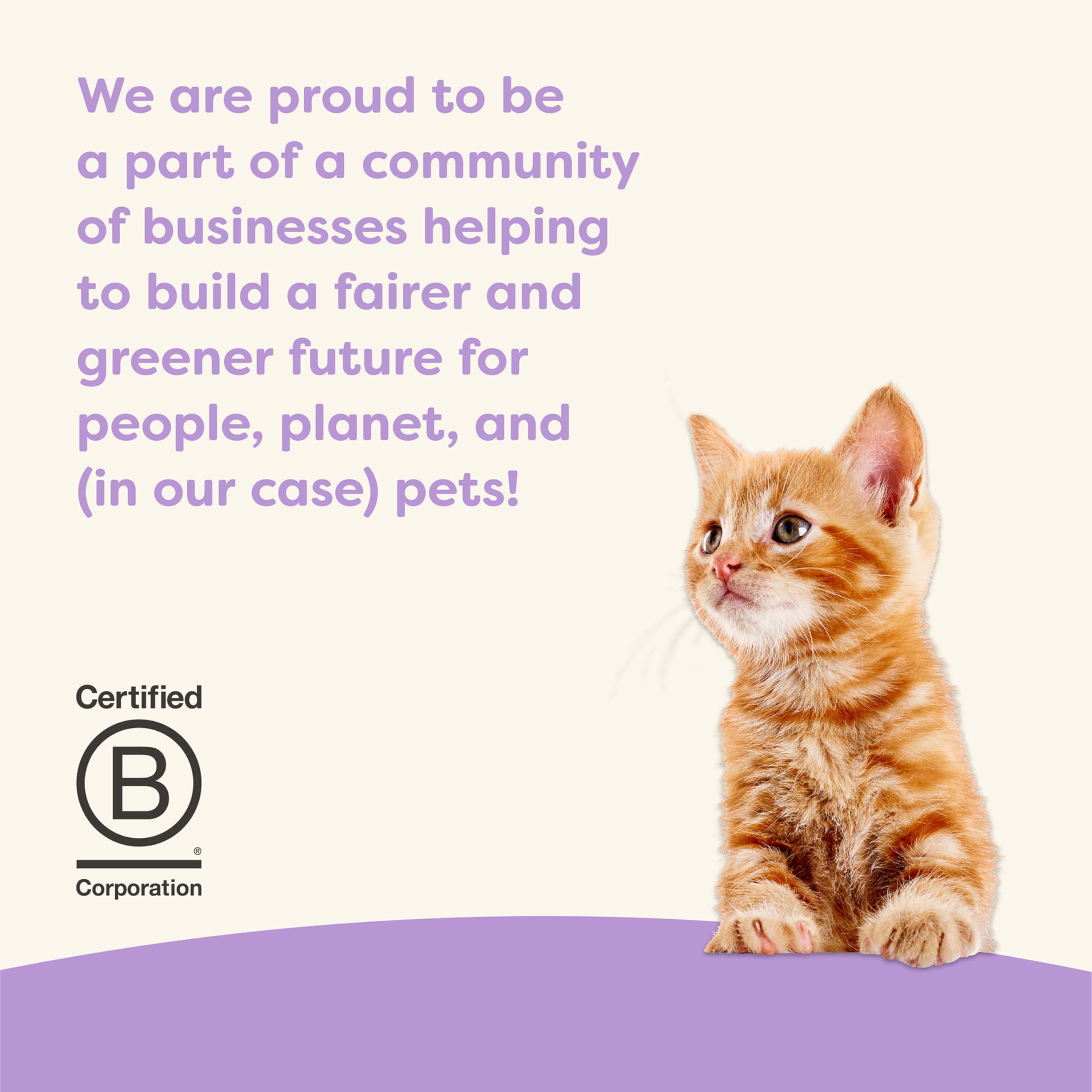 Applaws Kitten Healthy Start branding shows B Corp commitment to planet and quality sourcing