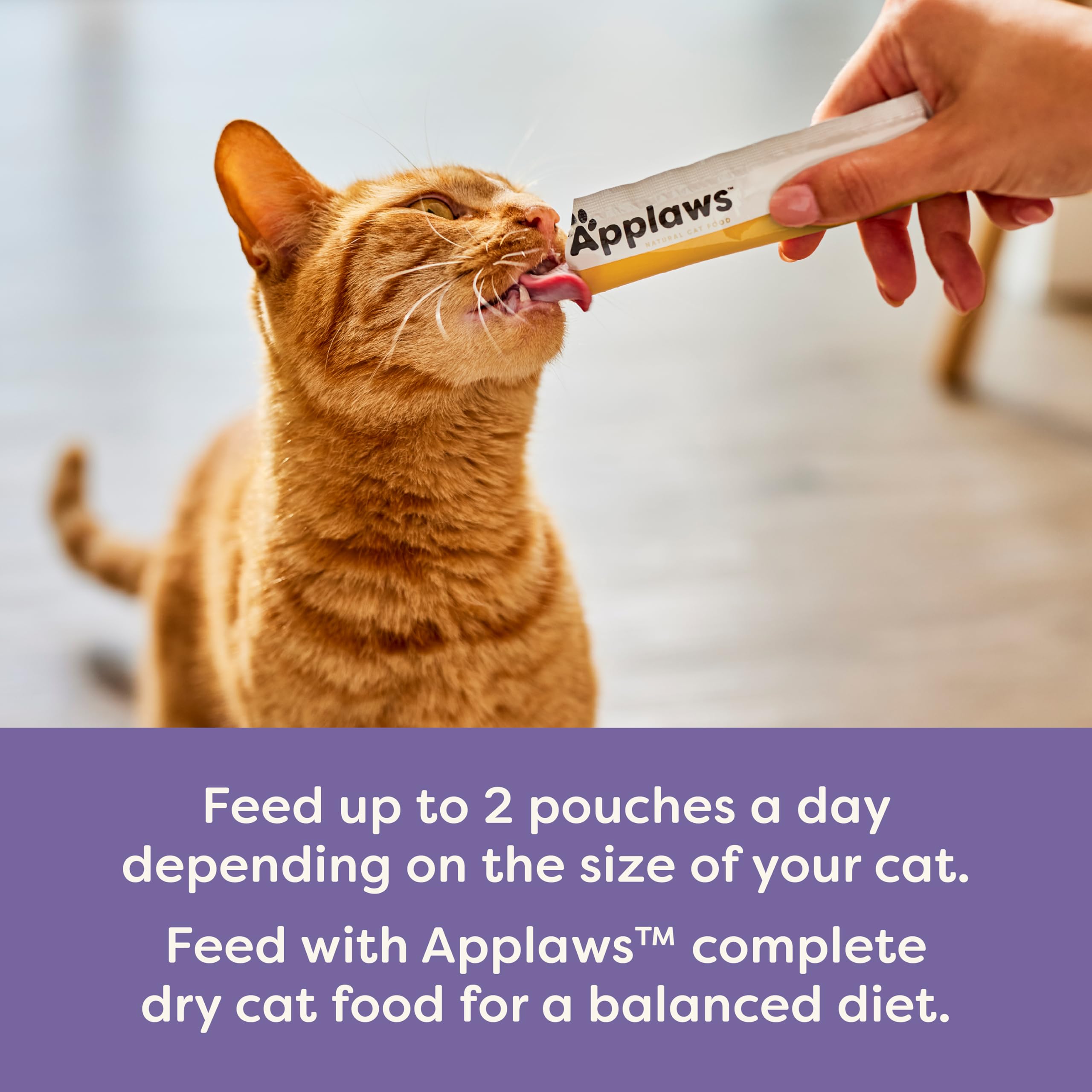 Applaws Lickable Cat Treats bowl serving demonstrates direct tasting and meal enhancement