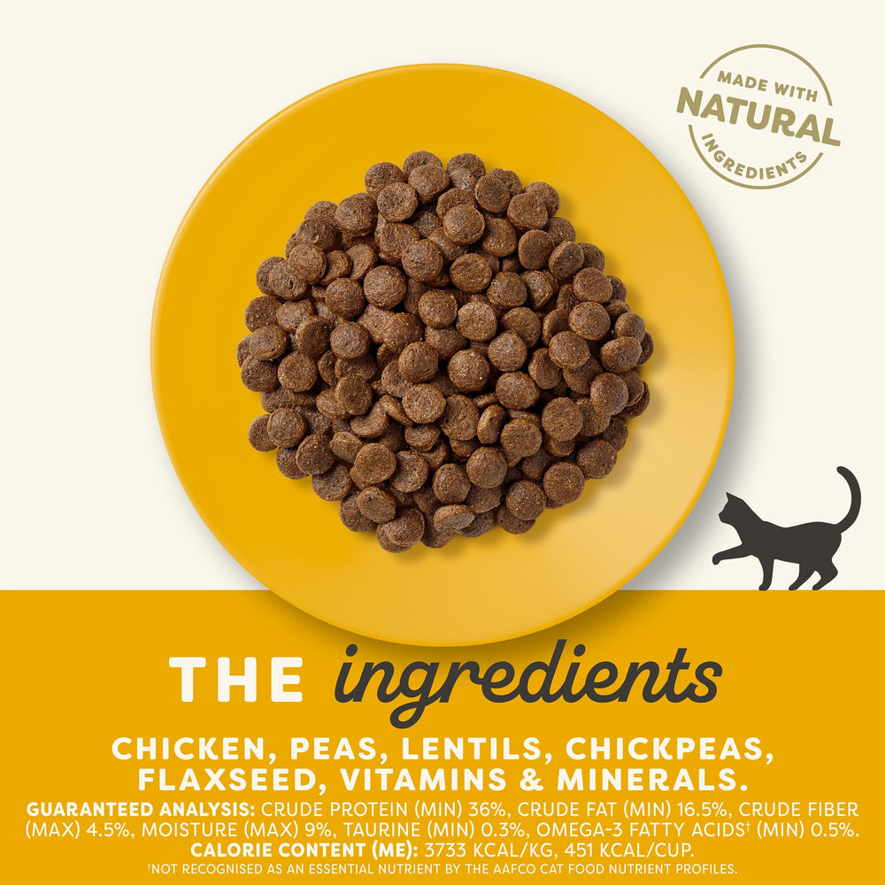 Applaws Limited Ingredient dry cat food close-up for simple ingredient sensitivity.