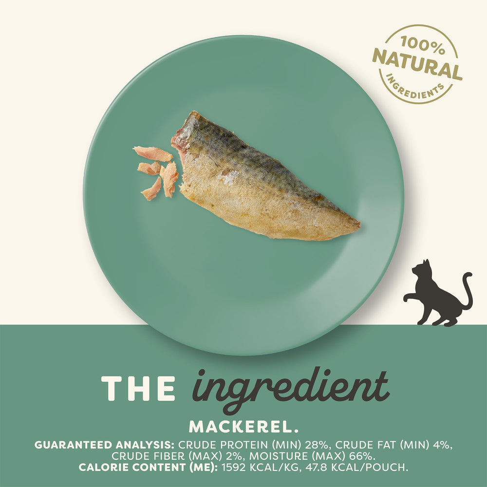 Close-up of Applaws mackerel loin showing texture