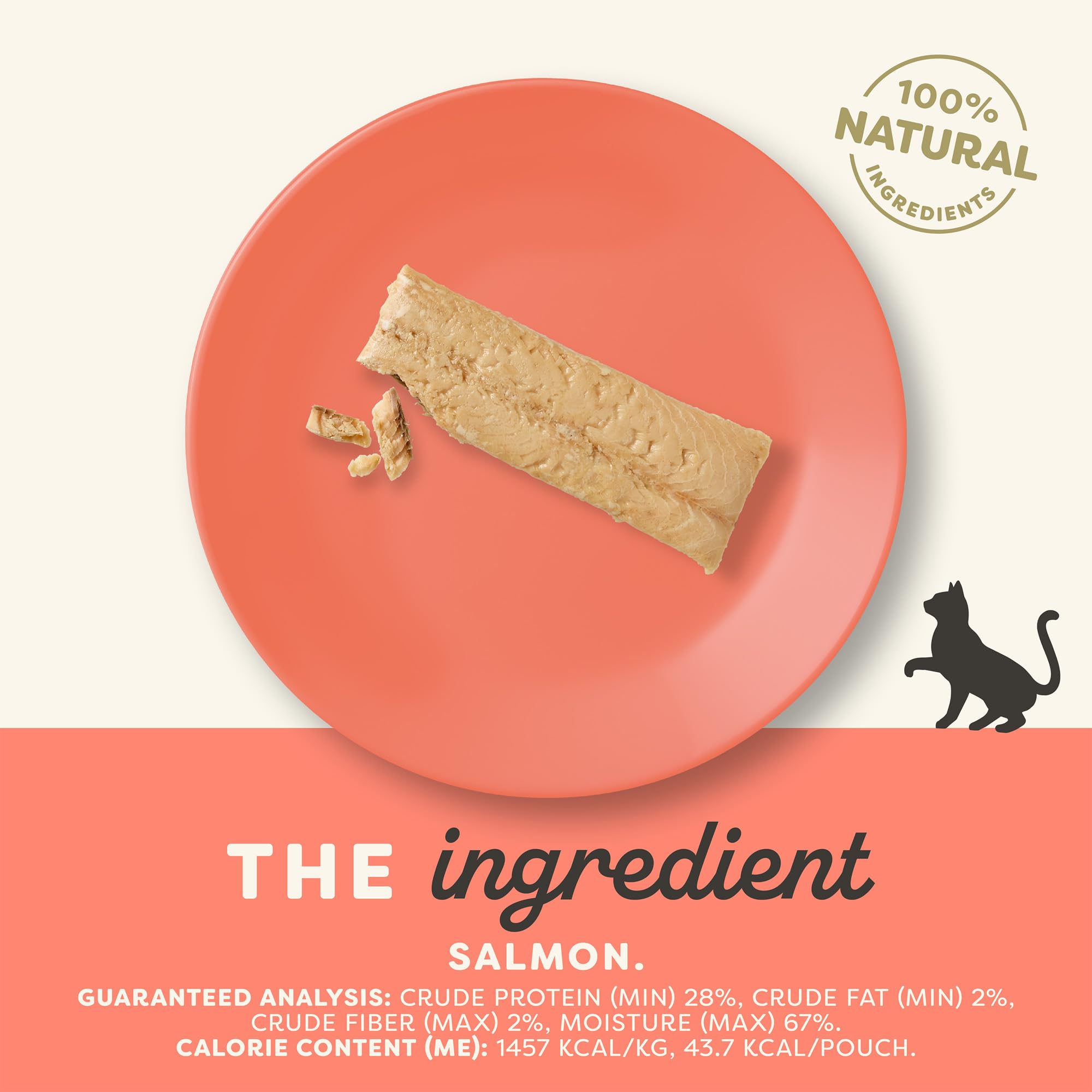 Applaws whole salmon loin fillet displayed as a natural, single-ingredient cat reward.