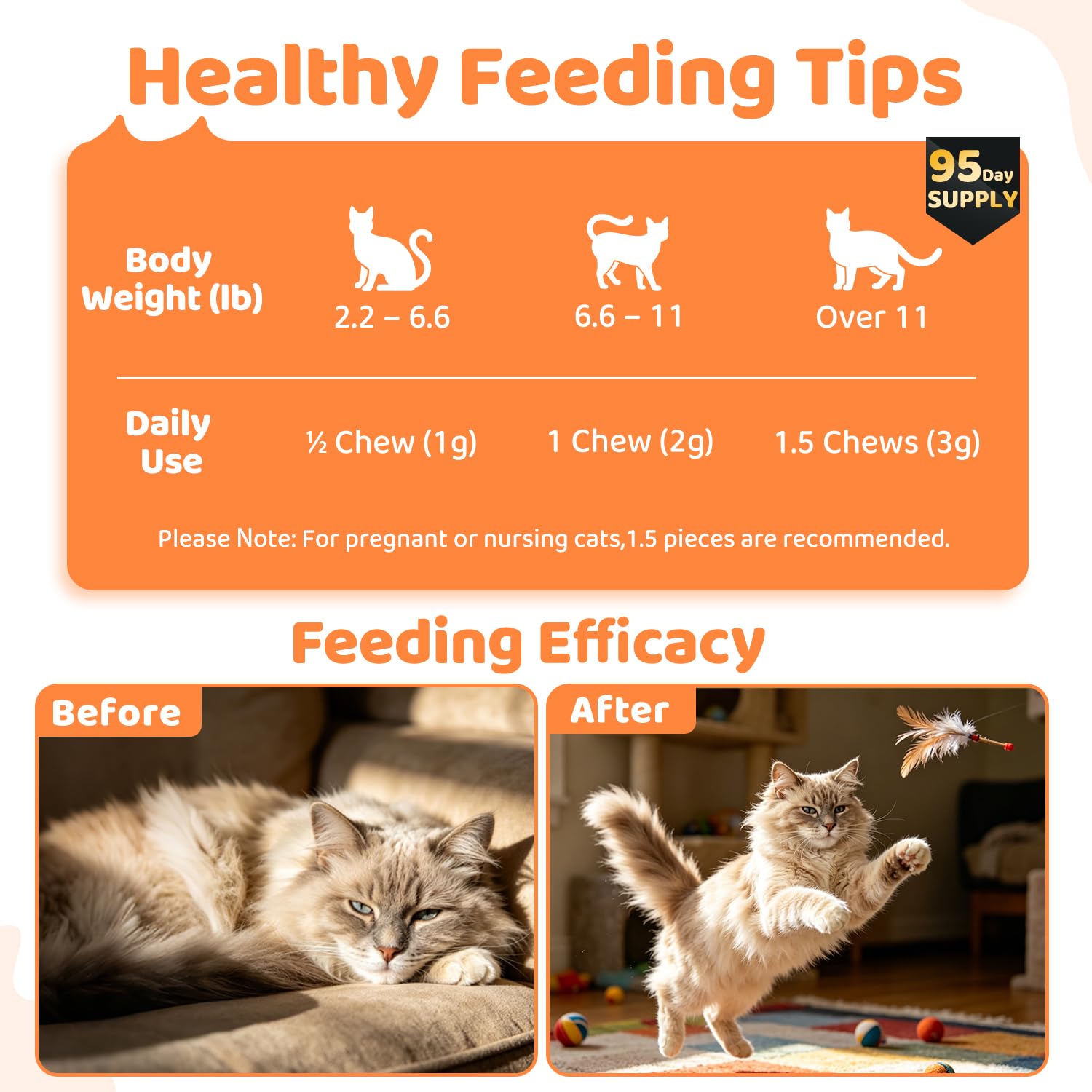 APXL senior-cat vitamin tablet designed for aging cats.