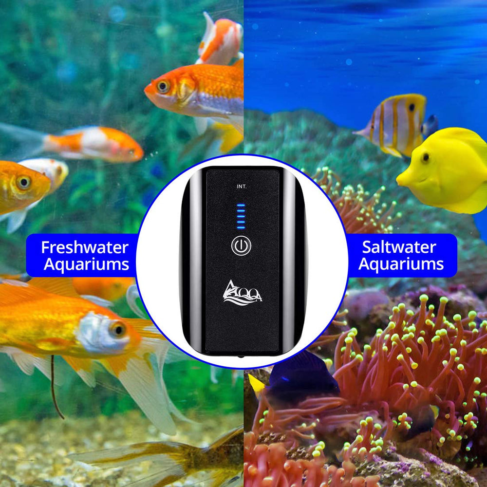 AQQA compact design attaches easily to tanks with minimal noise