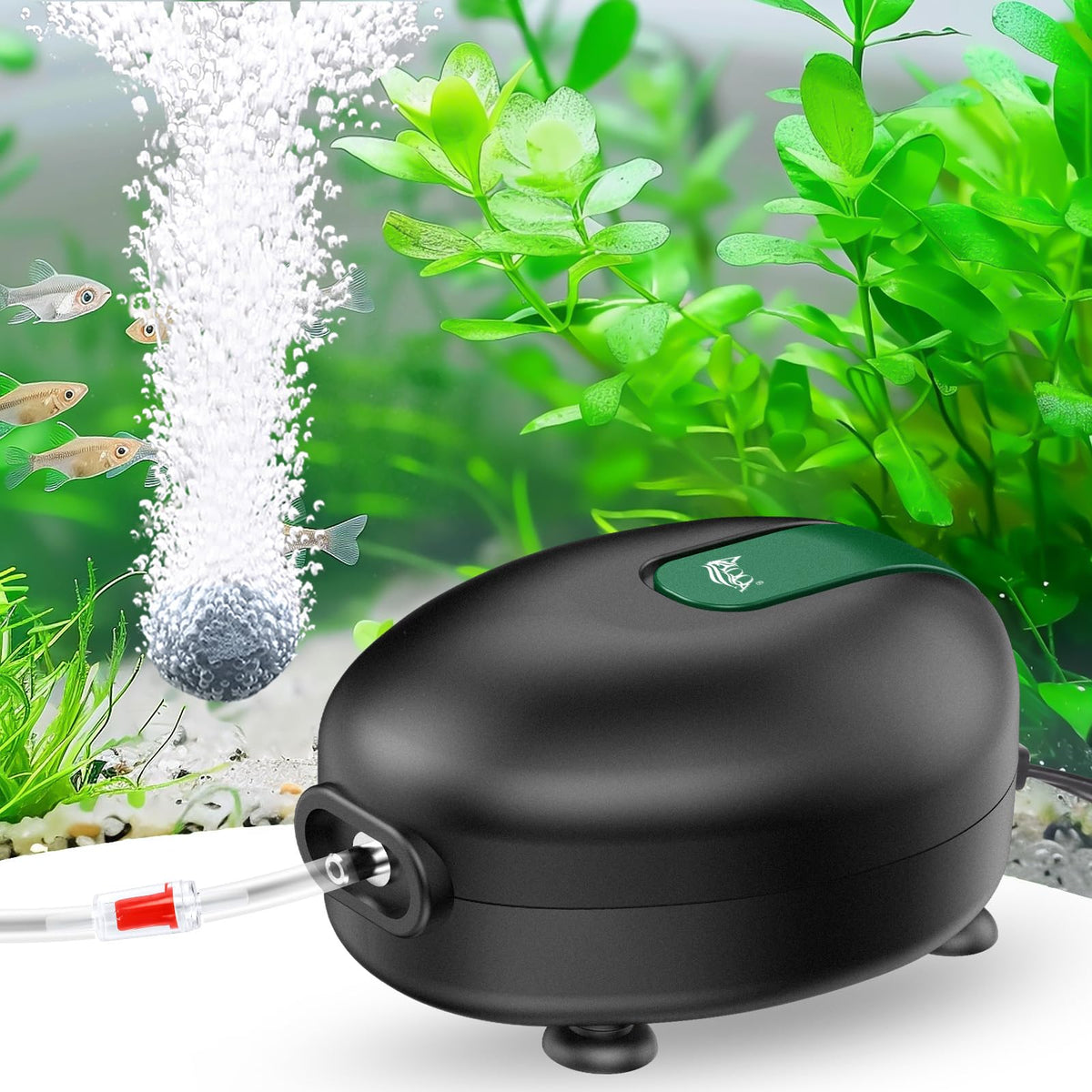 AQQA aquarium air pump with quiet operation for peaceful tank environments.