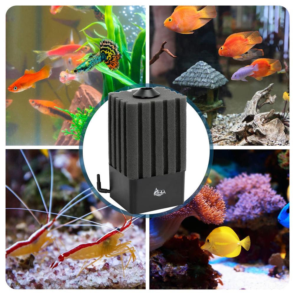 Tank range graphic shows compatibility for freshwater and marine setups up to 110 gallons.