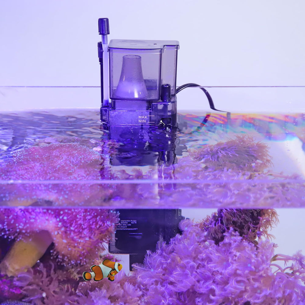 AQQA skimmer with overflow protection keeps the tank area safe.