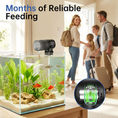 AQQA feeder with 200ml capacity for steady food supply