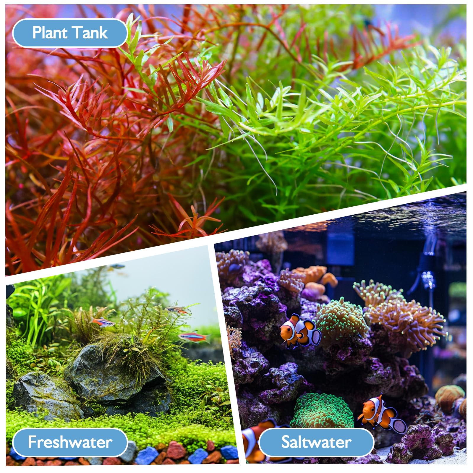 AQQA compact, space-saving design fits neatly in small aquariums.
