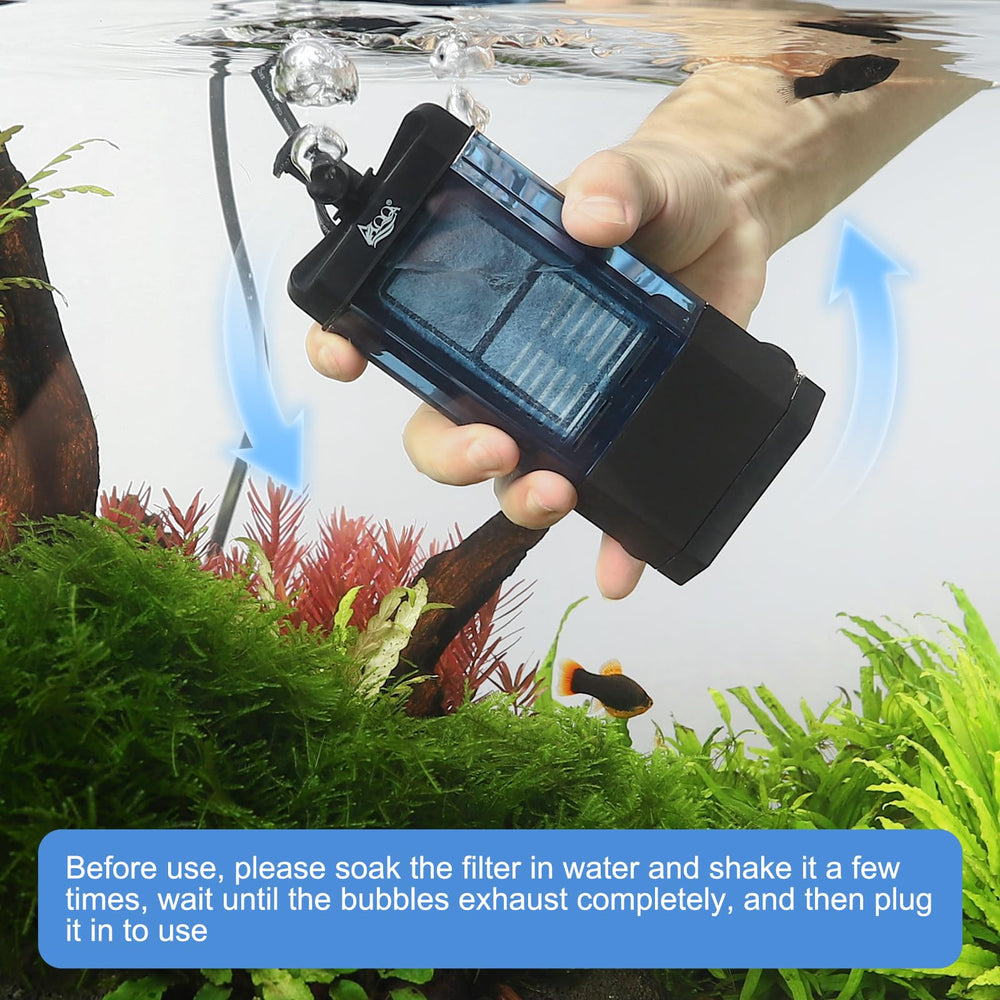 AQQA easy setup and maintenance for freshwater tanks.