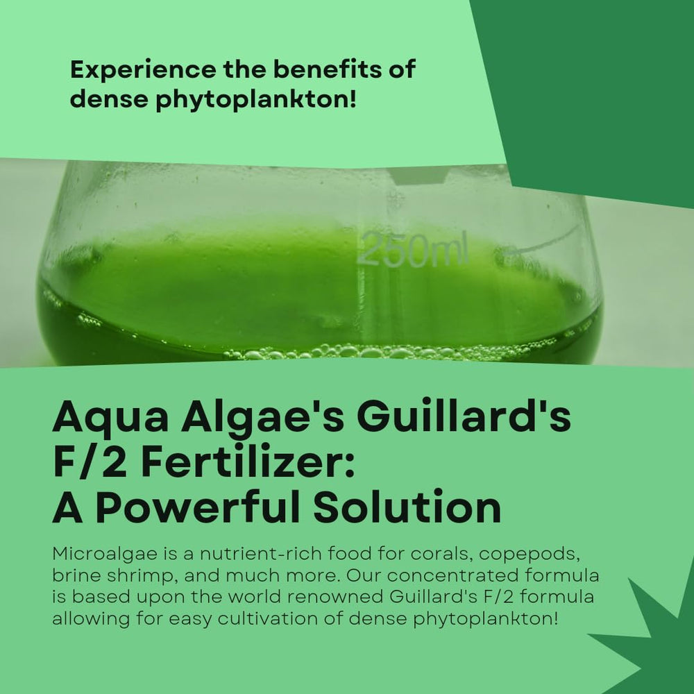 Aqua Algae culture starter in tank setup shows ready nourishment for microalgae.