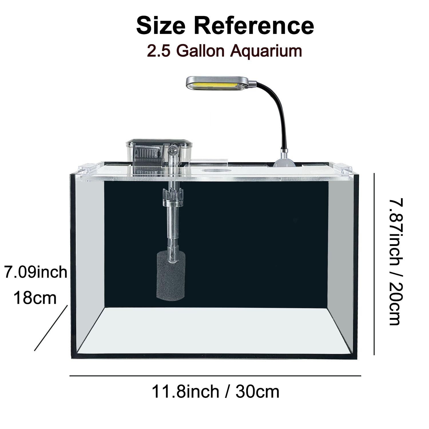 AQUA DAREN 10L betta aquarium ideal for small peaceful species.