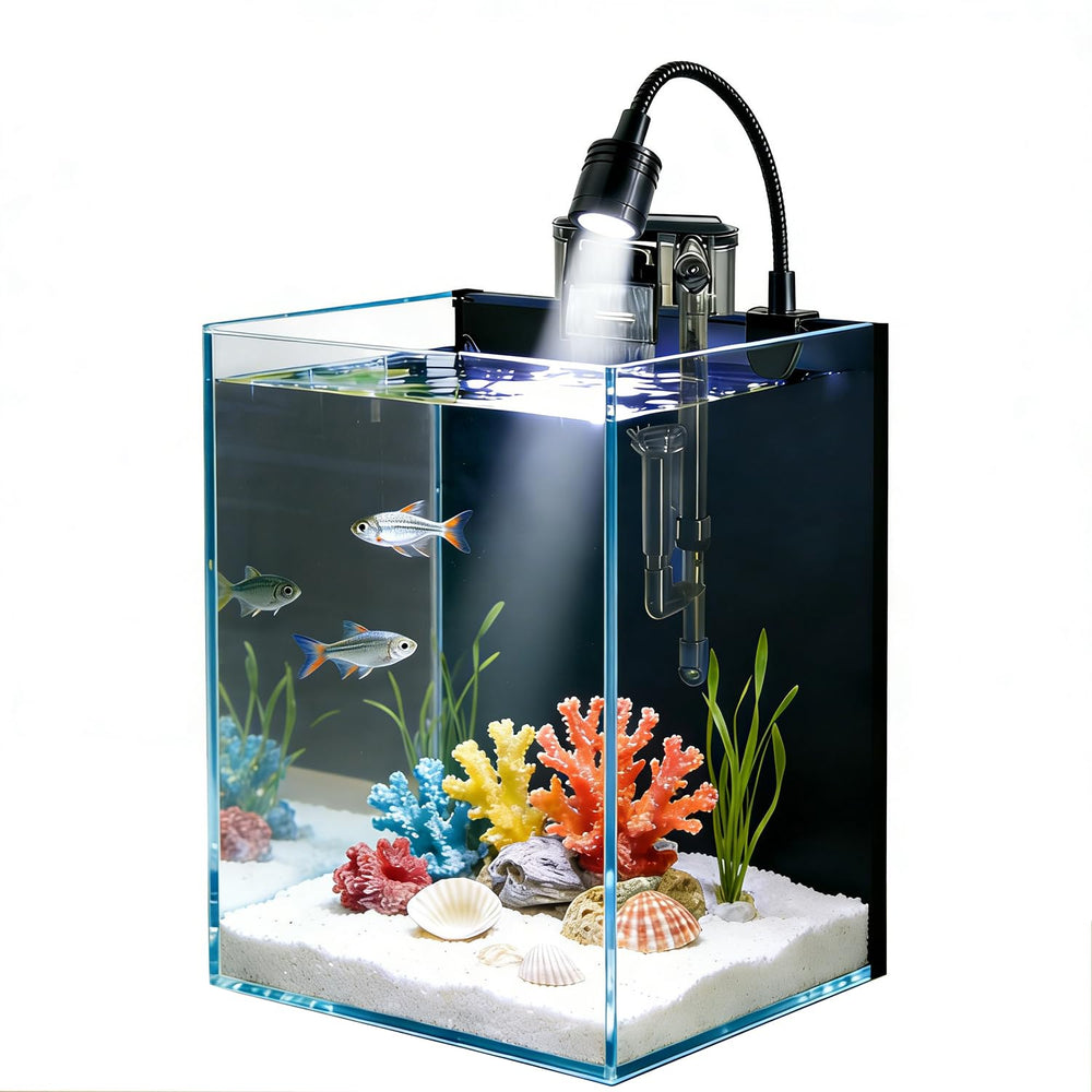 AQUA DAREN Betta tank front view for a compact 1.5 gallon setup.