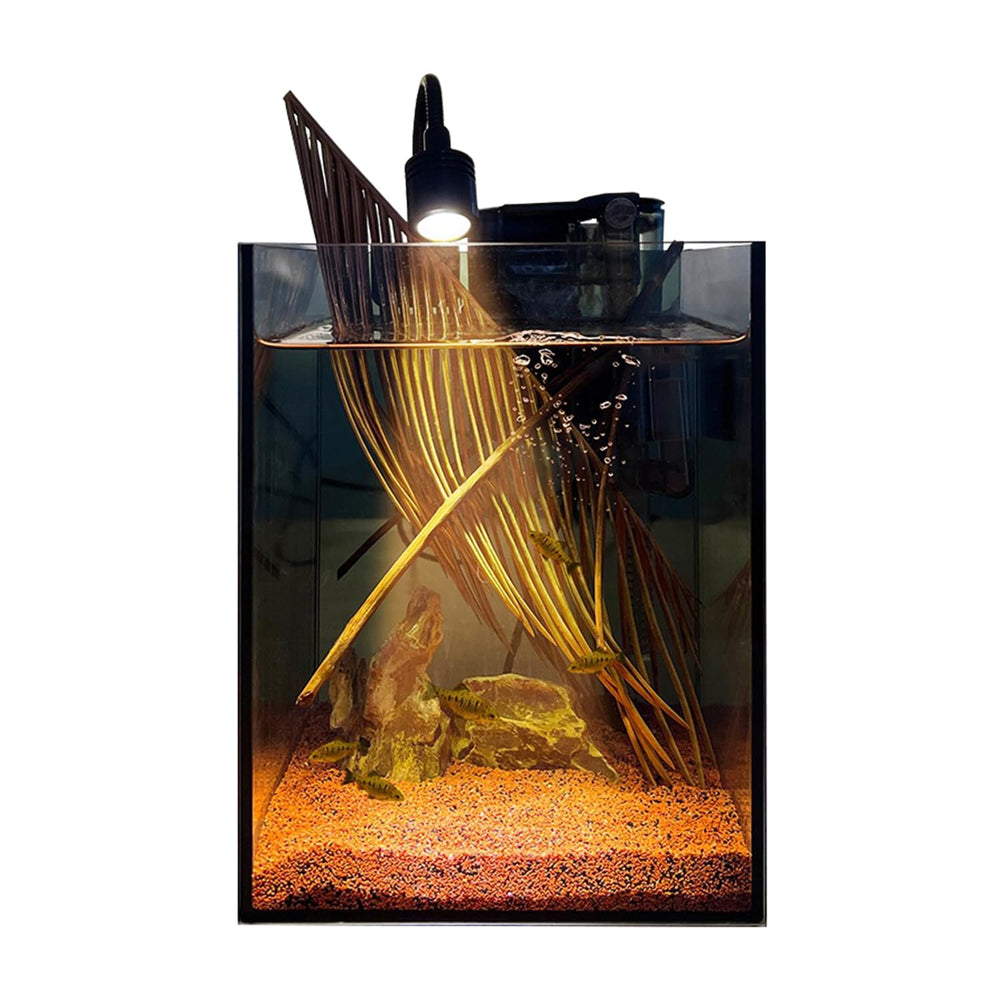 AQUA DAREN clear glass betta tank creates inviting home.