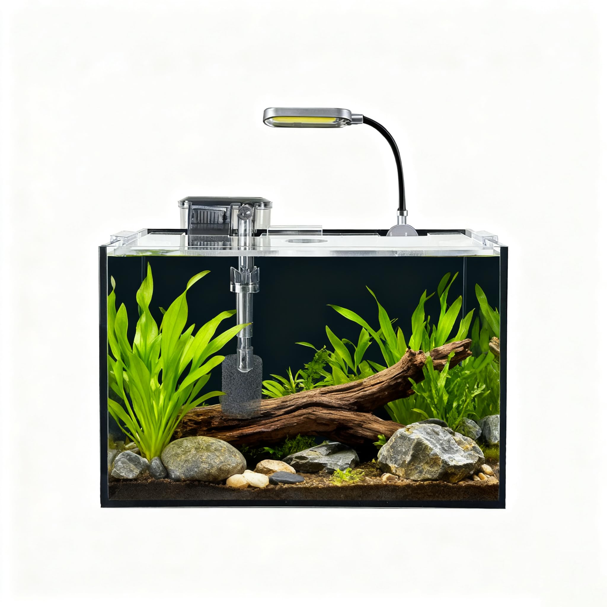 AQUA DAREN setup with live or artificial plants for an attractive habitat.
