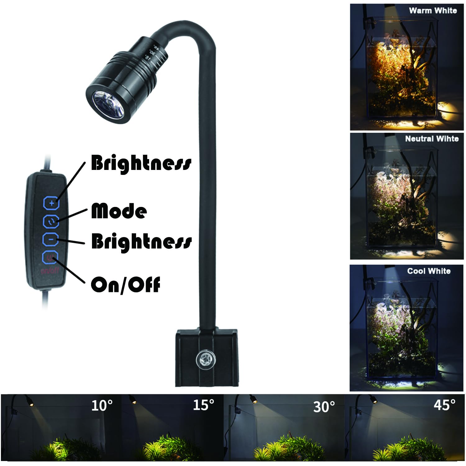 AQUA DAREN small fish and shrimp tank enables versatile aquatic habitats.