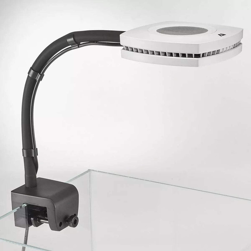 AIQI Prime Flex Arm 12in complements black/white color options for a tidy aquarium setup.