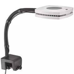 AIQI Prime Flex Arm 12in with adjustable tilt for versatile lighting.