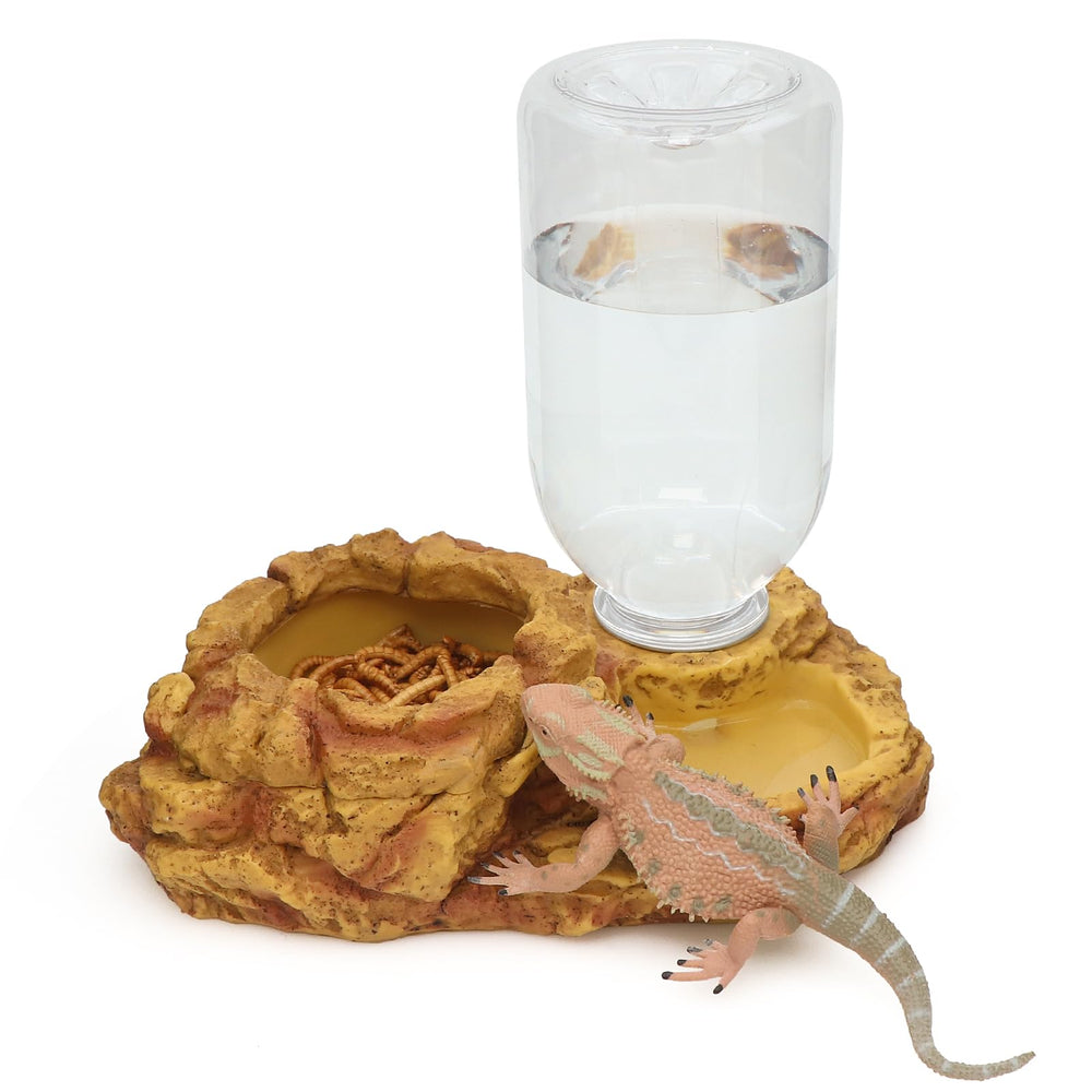 Aqua KT bearded dragon feeding scene, convenient and clean daily routine