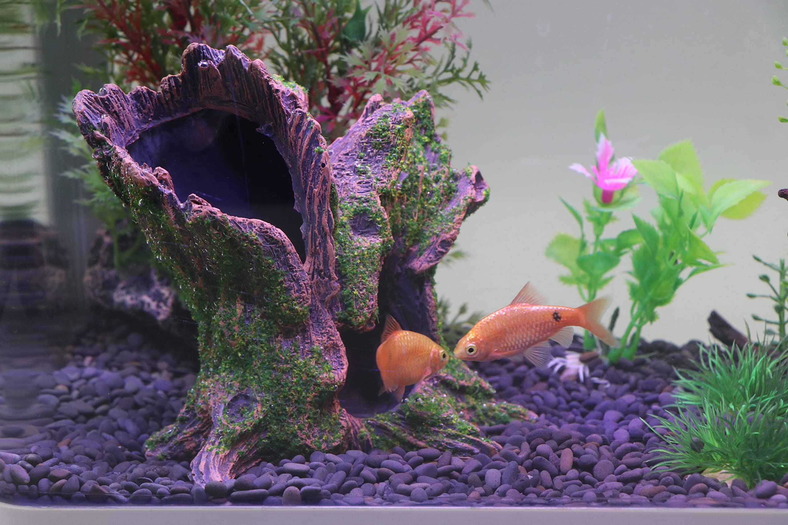 AQUA KT compact tree trunk decoration fits small tanks nicely.